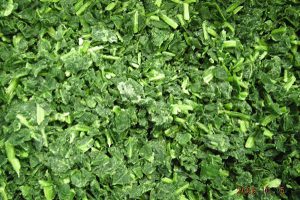IQF Spinach